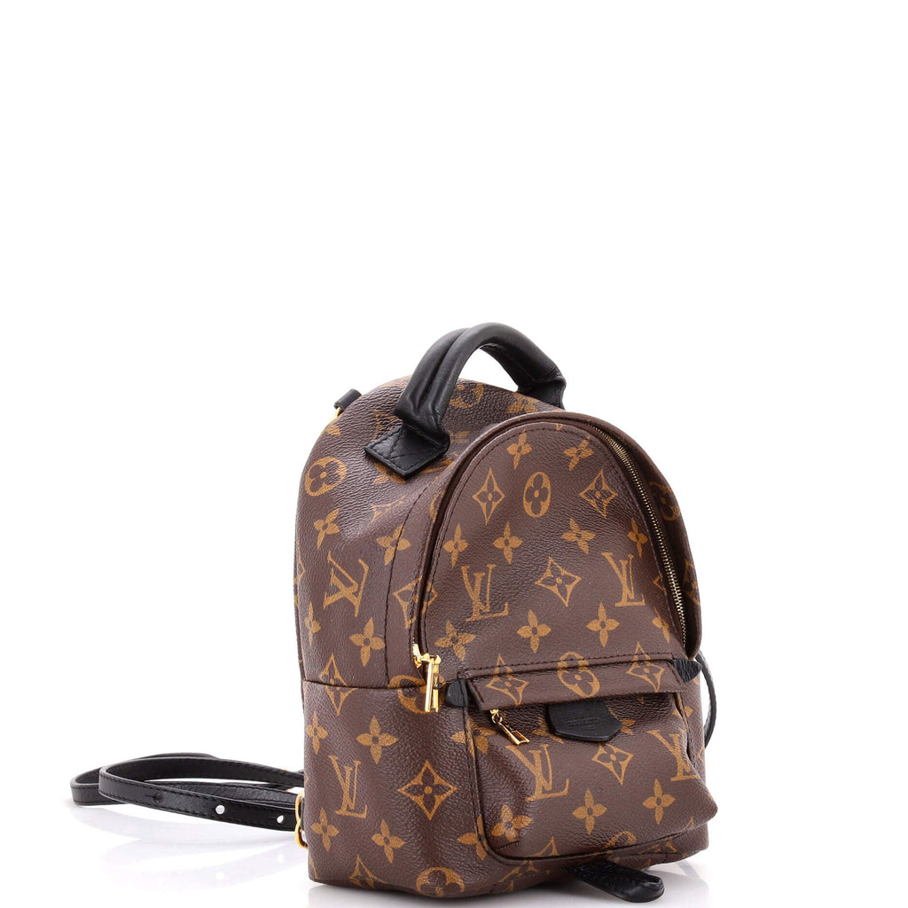 Palm Springs Backpack Monogram Canvas Mini
