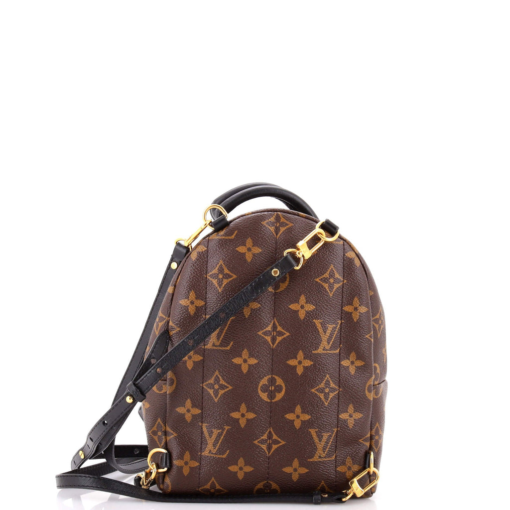Palm Springs Backpack Monogram Canvas Mini