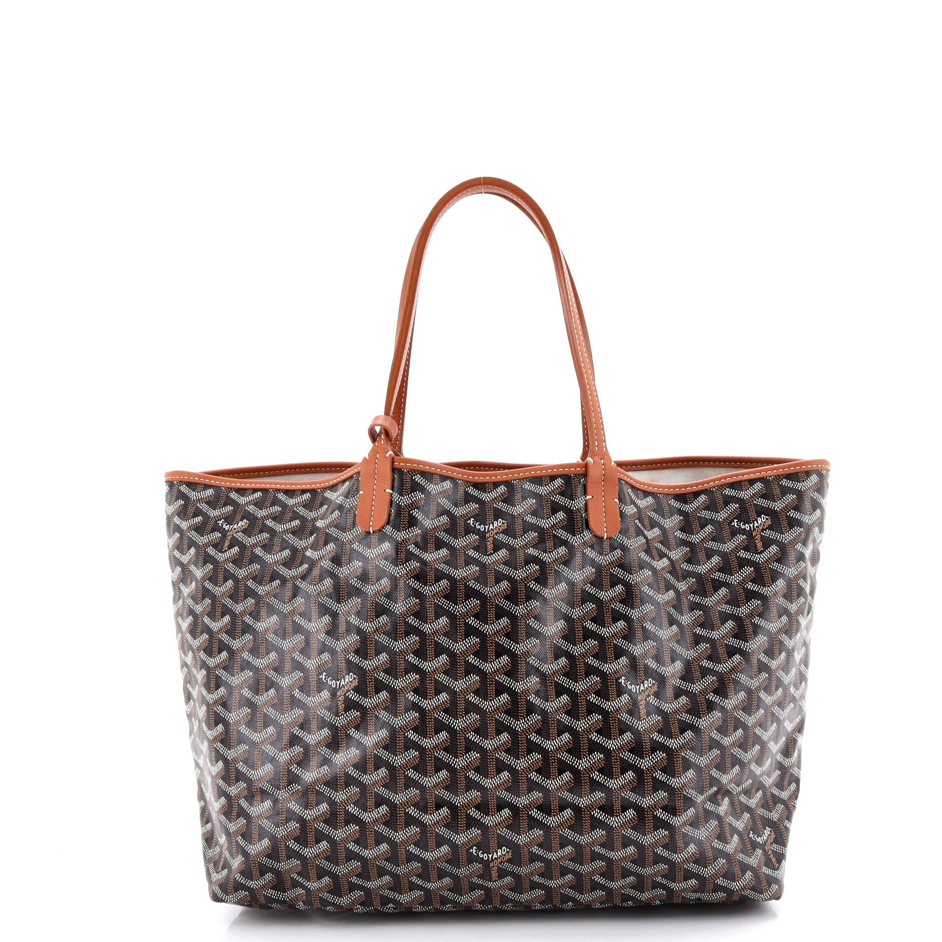Saint Louis Tote Coated Canvas PM