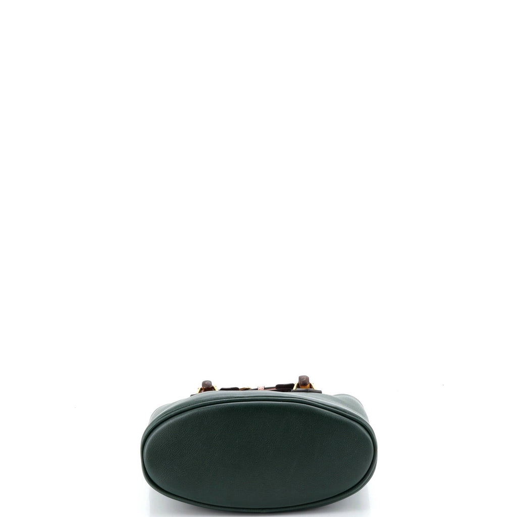 Diana Convertible Bucket Bag Leather Small