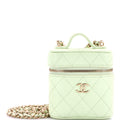 Handle with Care Vanity Case with Chain Quilted Caviar