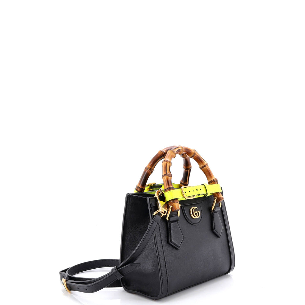 Diana NM Bamboo Handle Tote Leather Mini