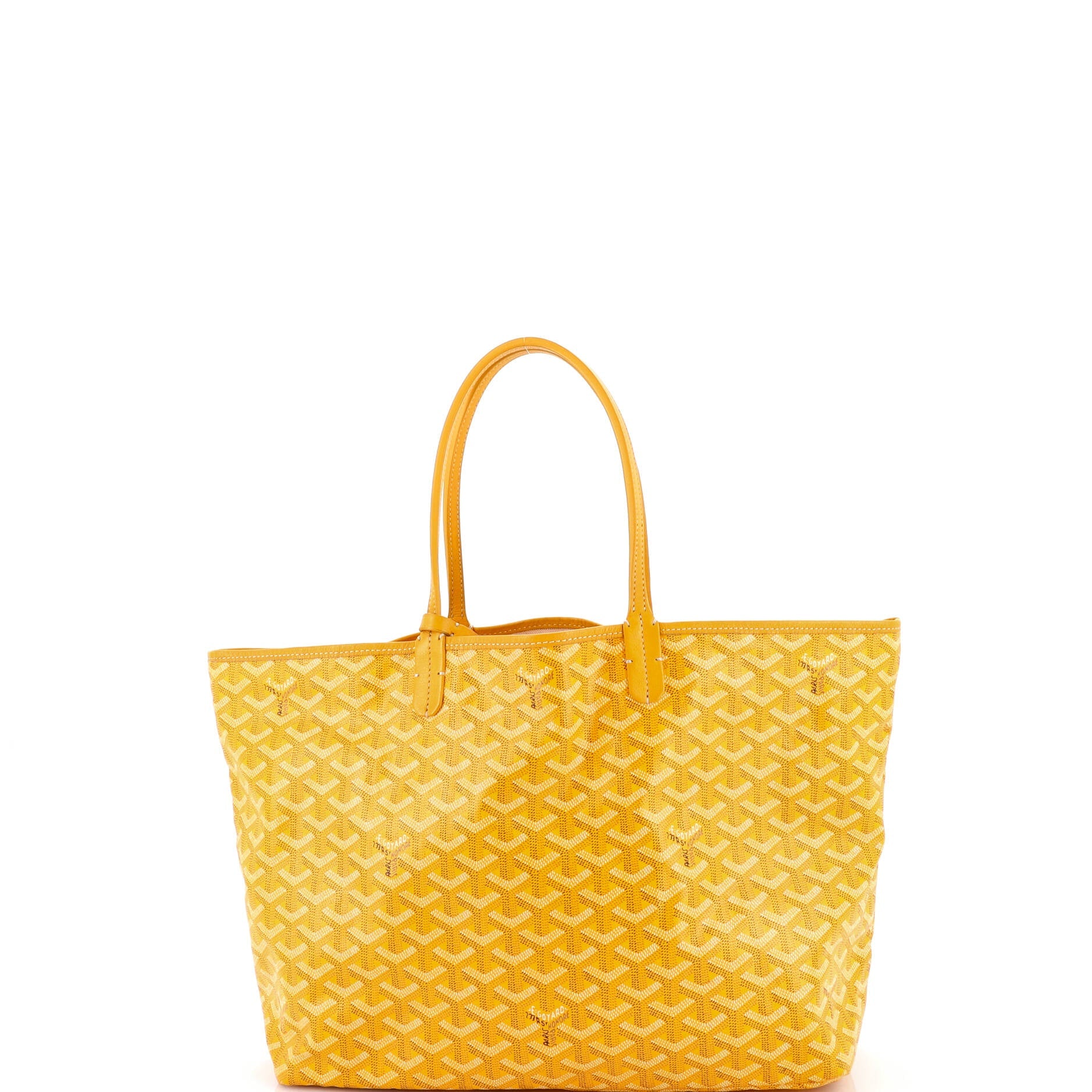 Saint Louis Tote Coated Canvas PM