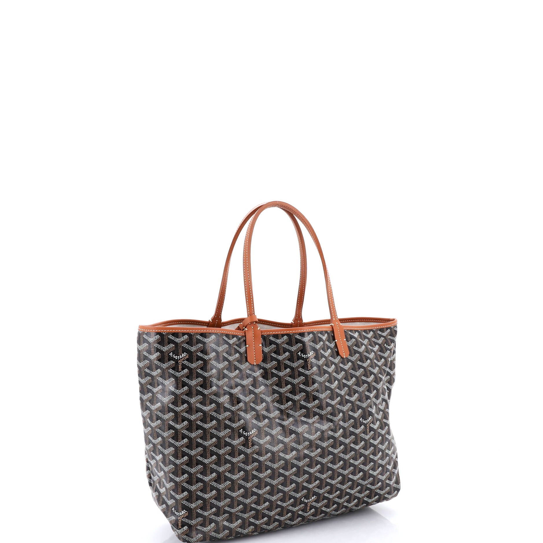 Saint Louis Tote Coated Canvas PM