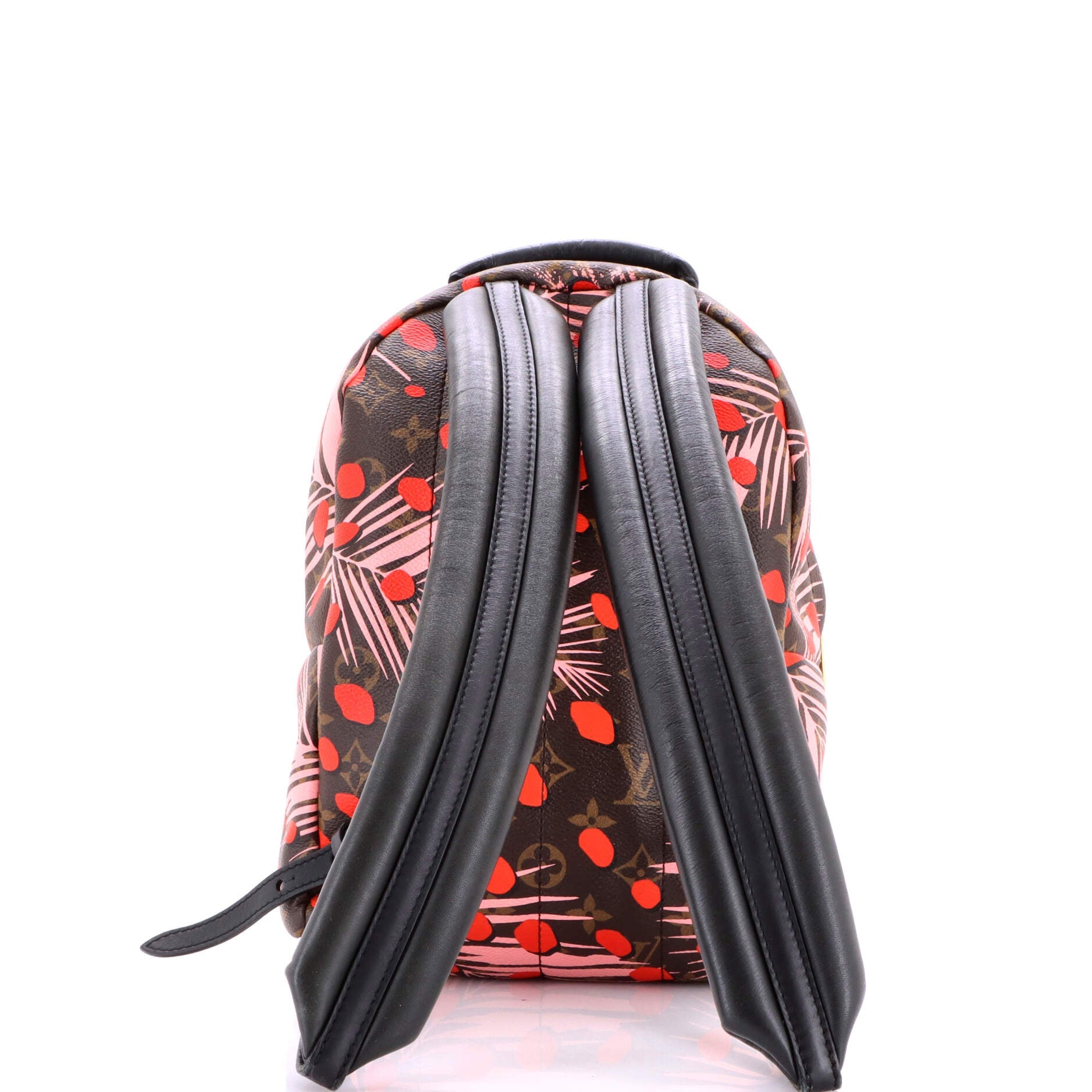 Palm Springs Backpack Limited Edition Monogram Jungle Dots PM