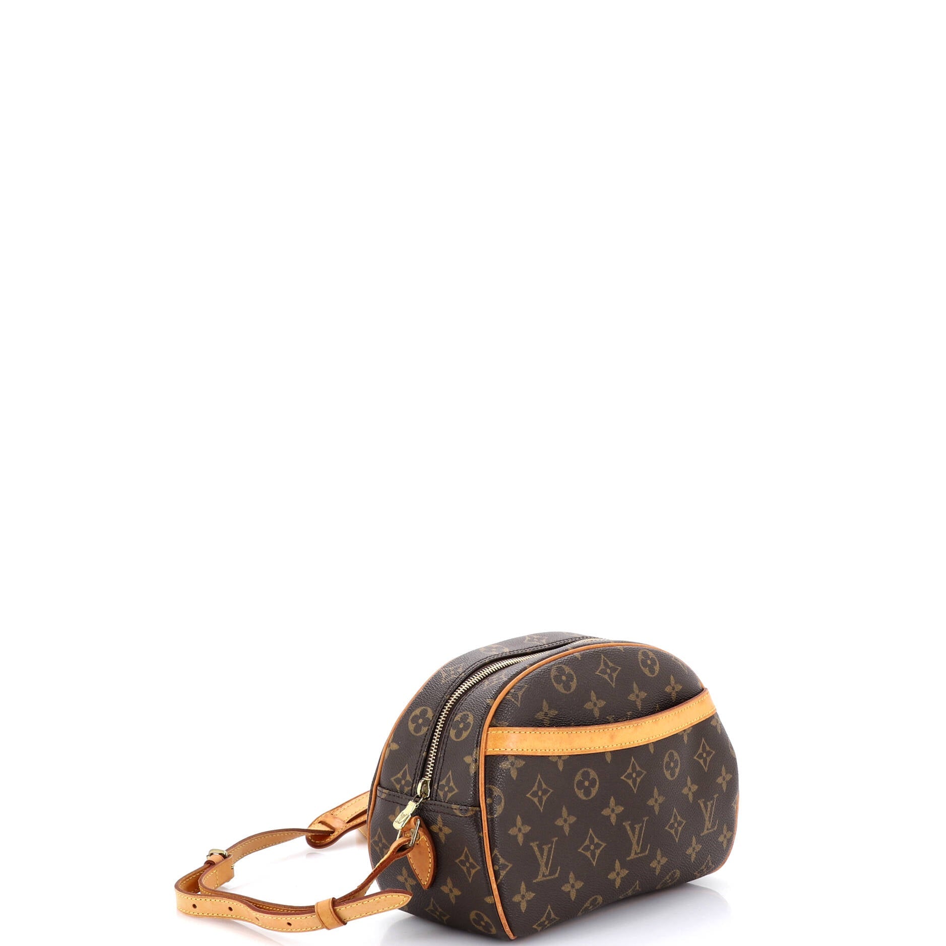 Blois Handbag Monogram Canvas