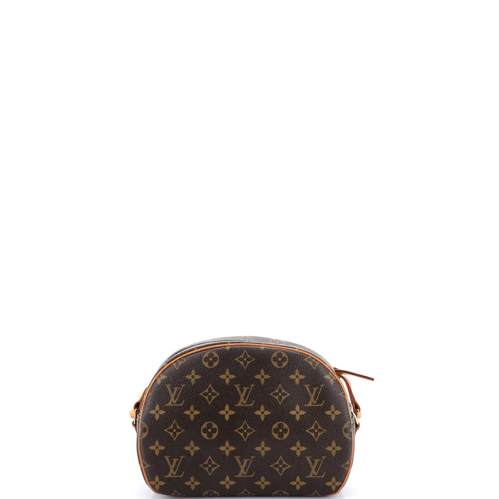 Blois Handbag Monogram Canvas