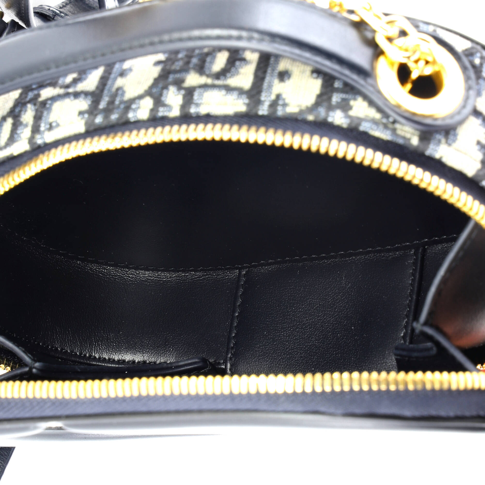 CD Signature Oval Camera Bag Oblique Canvas and Leather