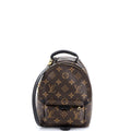 Palm Springs Backpack Monogram Canvas Mini