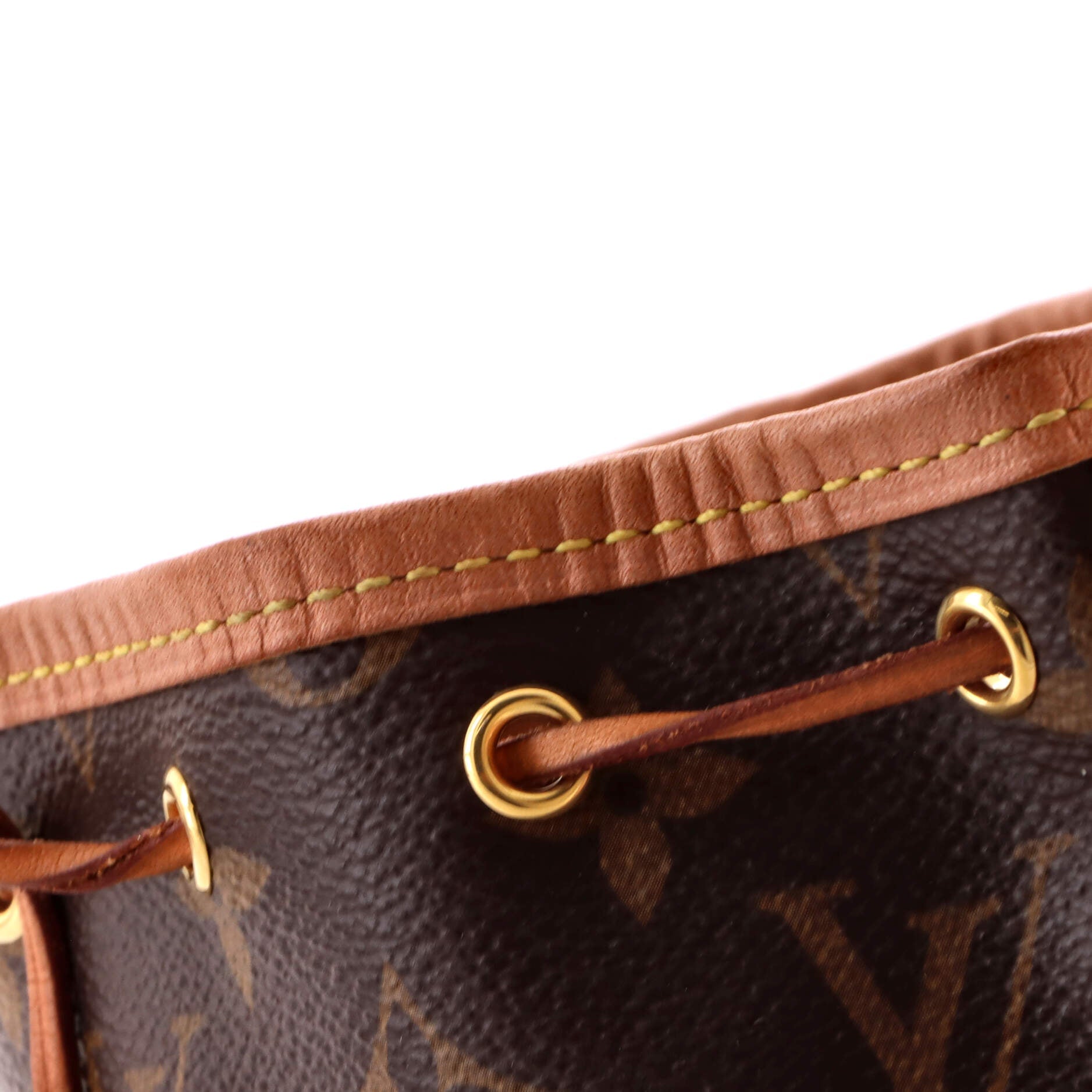 Noe Handbag Monogram Canvas Nano