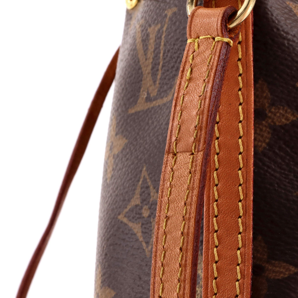 Noe Handbag Monogram Canvas Nano