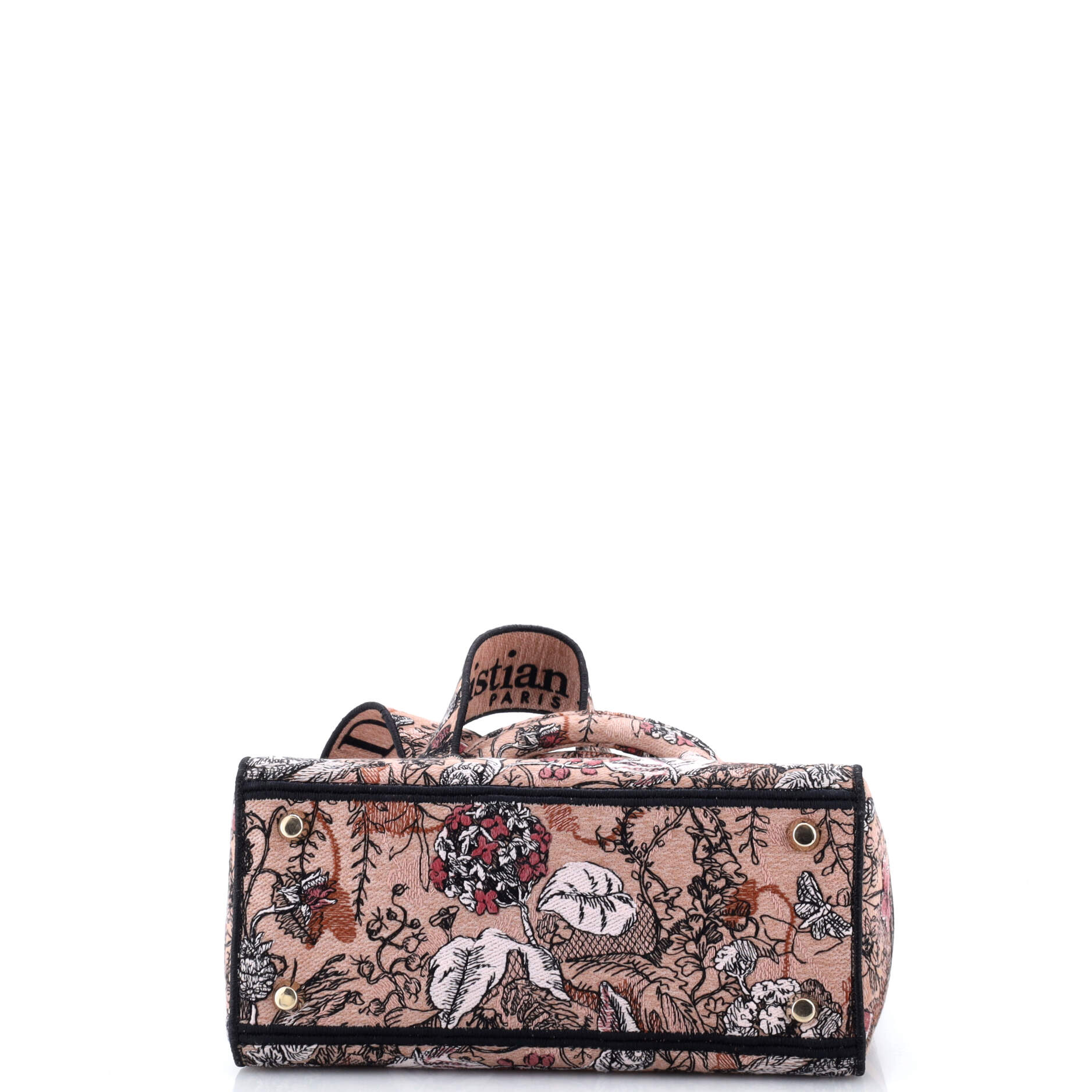 Lady D-Lite Bag Embroidered Canvas Medium