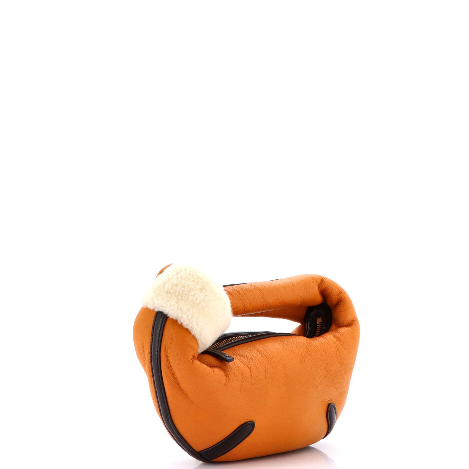 Aviator Jodie Hobo Leather with Shearling Mini