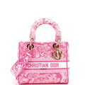 Lady D-Lite Bag Embroidered Canvas Medium