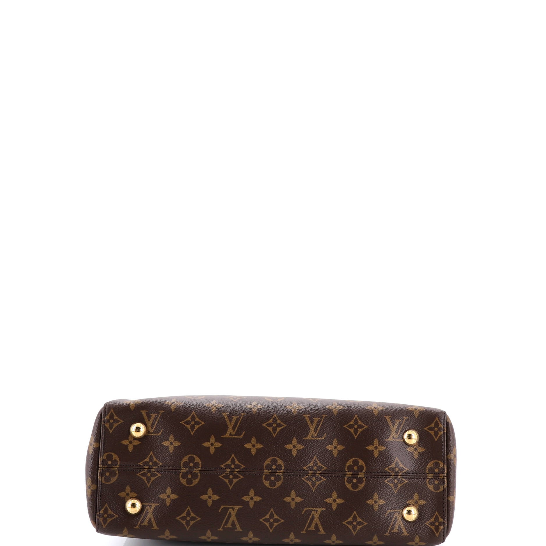 Venus Handbag Monogram Canvas and Leather
