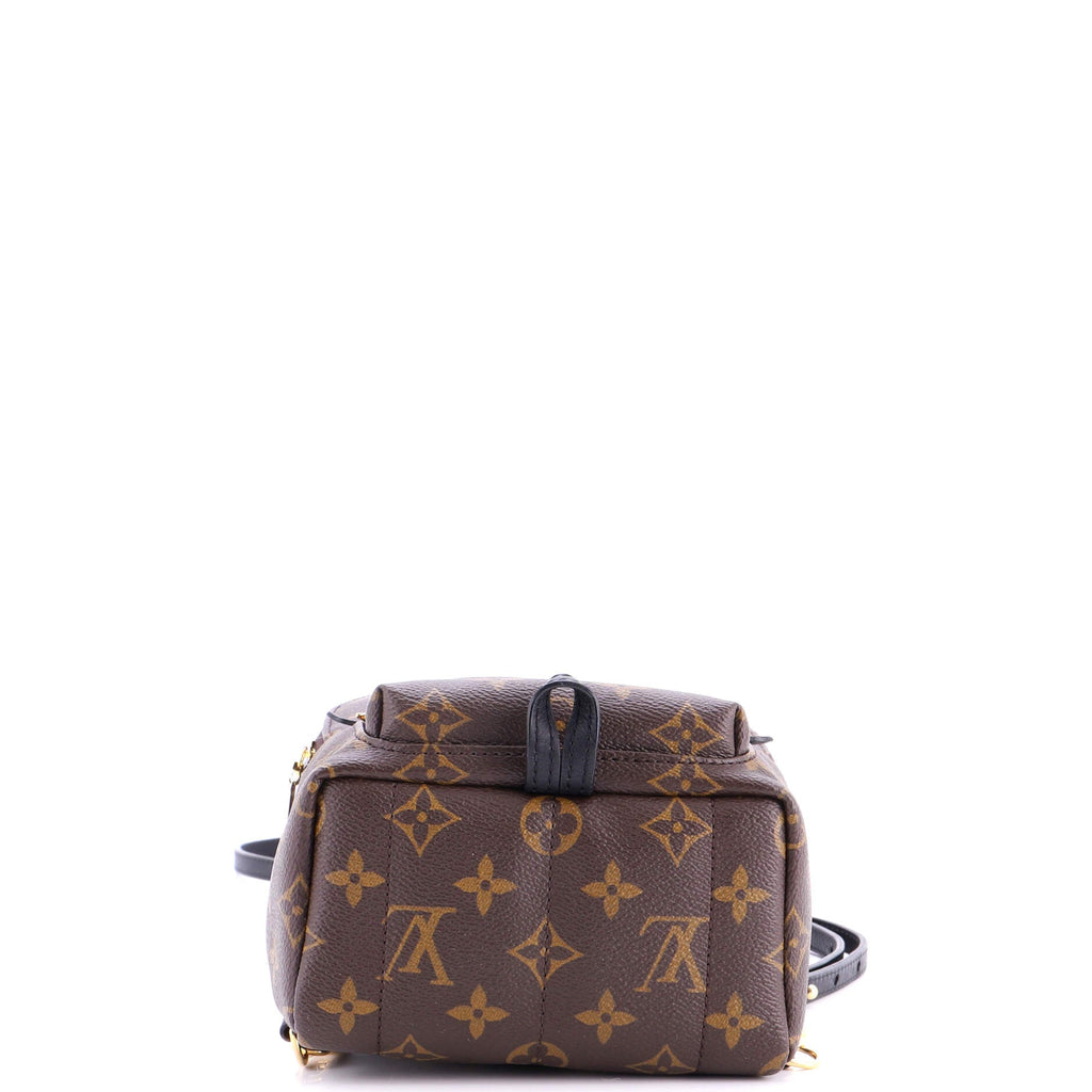 Palm Springs Backpack Monogram Canvas Mini