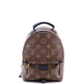 Palm Springs Backpack Monogram Canvas Mini