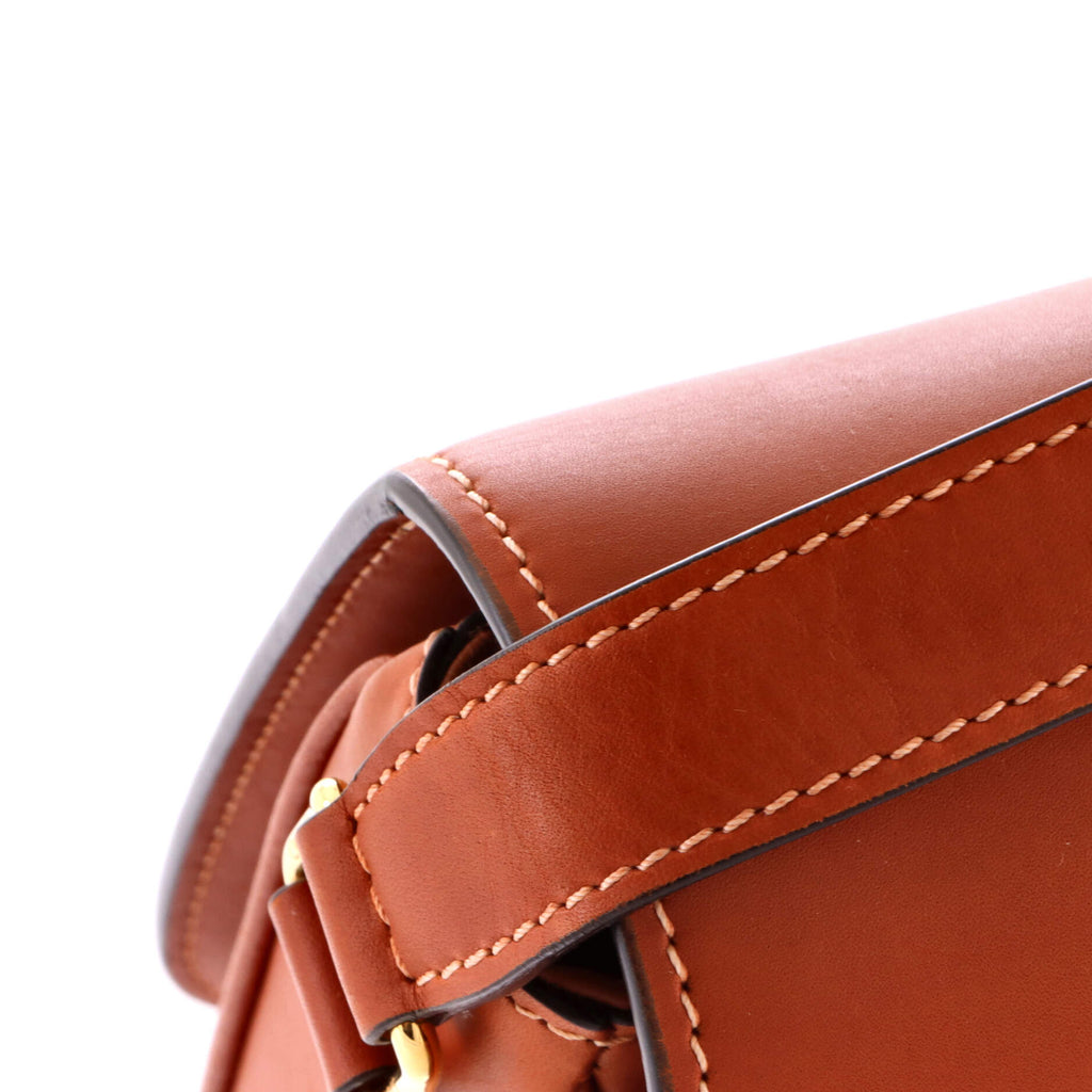 Triomphe Shoulder Bag Smooth Calfskin Large
