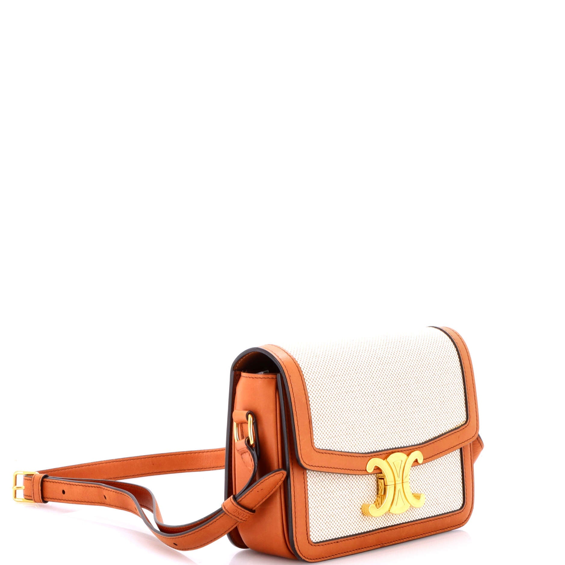 Triomphe Shoulder Bag Canvas with Leather Teen