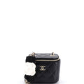 Camellia Bow Vanity Case with Chain Quilted Lambskin Mini