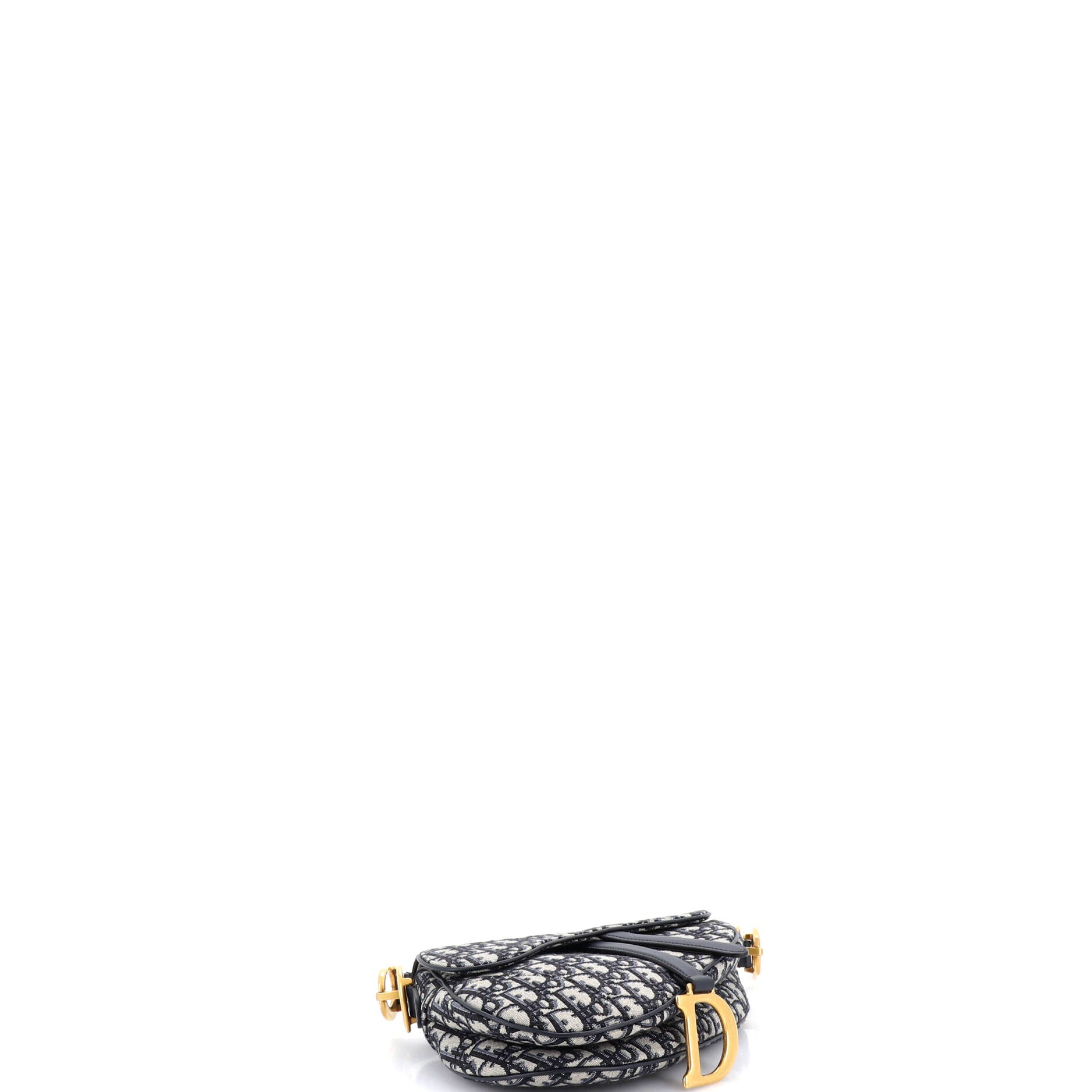 Saddle Handbag Oblique Canvas Medium