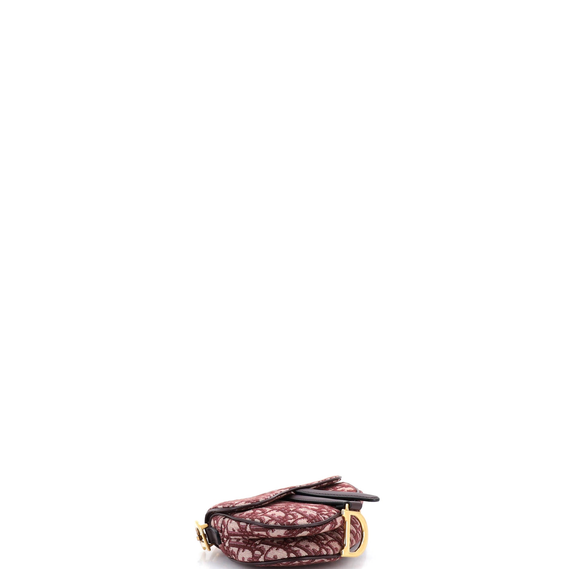 Saddle Handbag Oblique Canvas Mini
