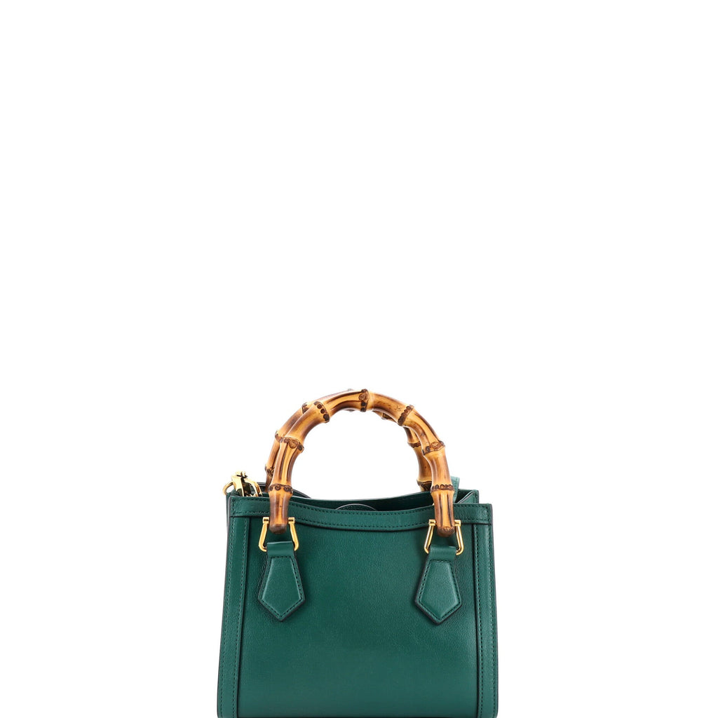 Diana NM Bamboo Handle Tote Leather Mini