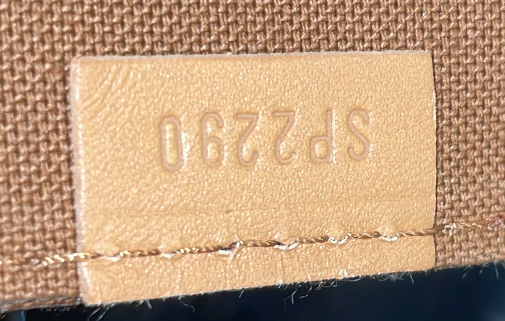 Petit Sac Plat Bag Monogram Canvas