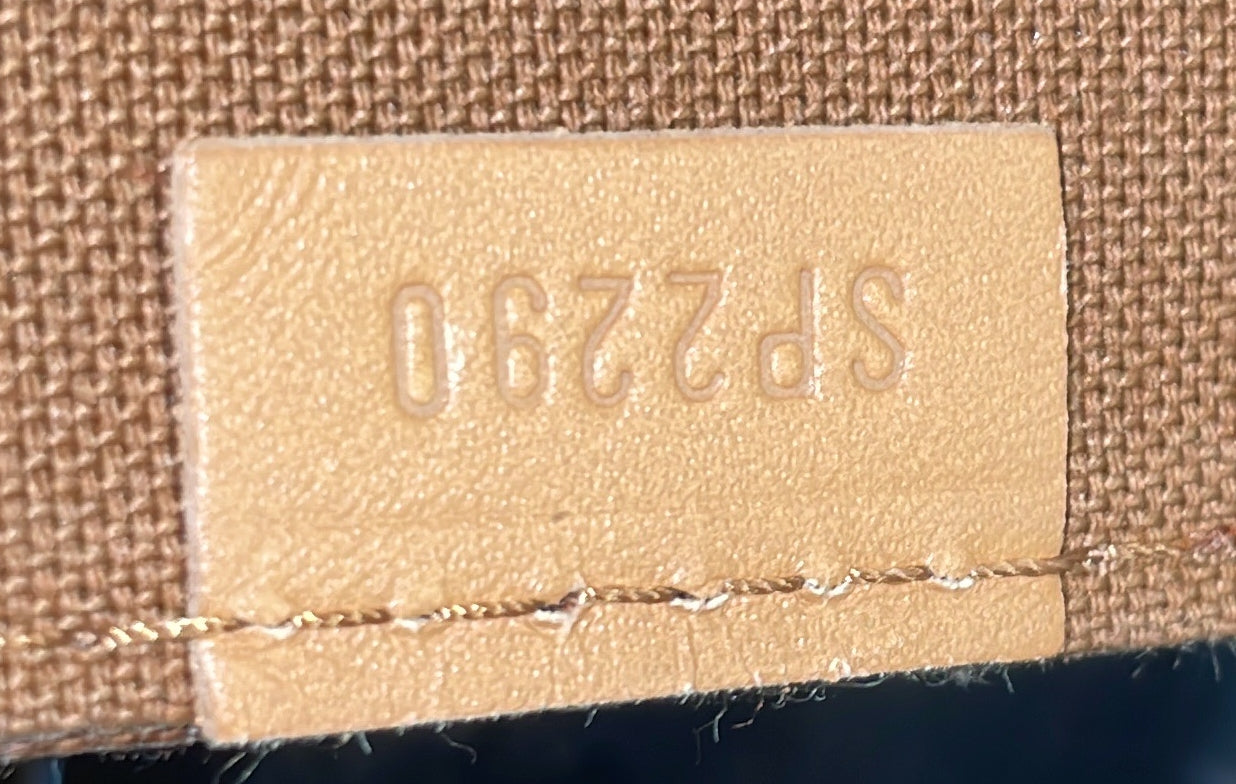 Petit Sac Plat Bag Monogram Canvas