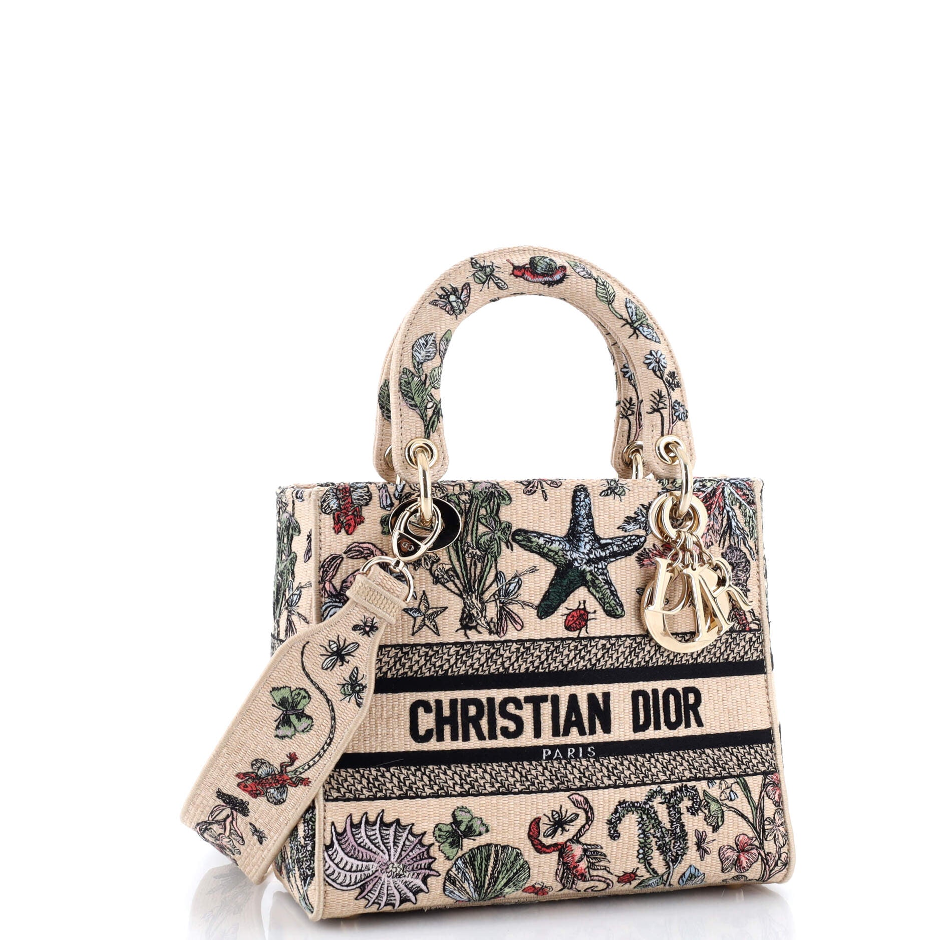 Lady D-Lite Bag Embroidered Raffia Medium