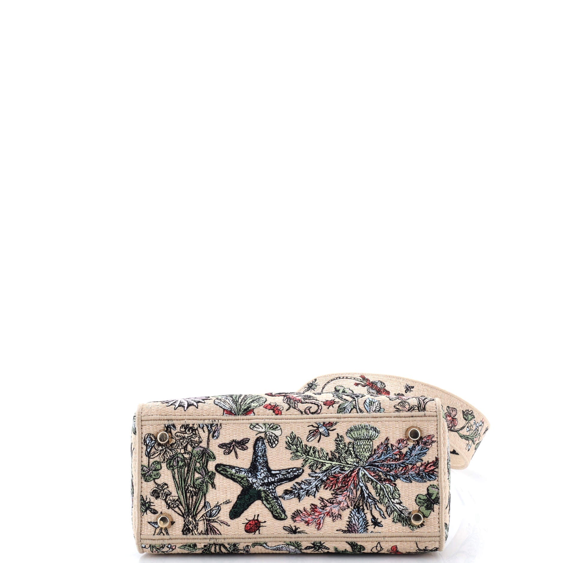 Lady D-Lite Bag Embroidered Raffia Medium