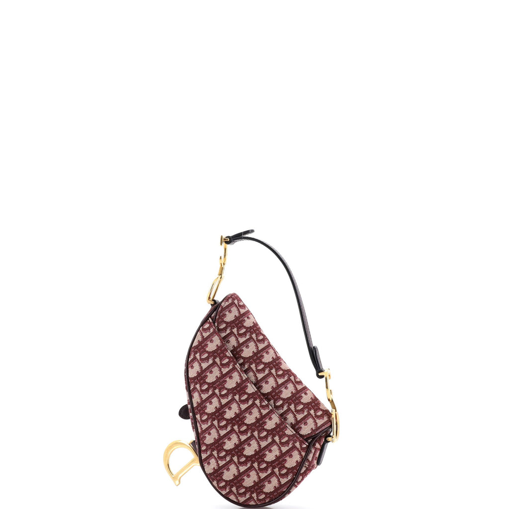 Saddle Handbag Oblique Canvas Mini