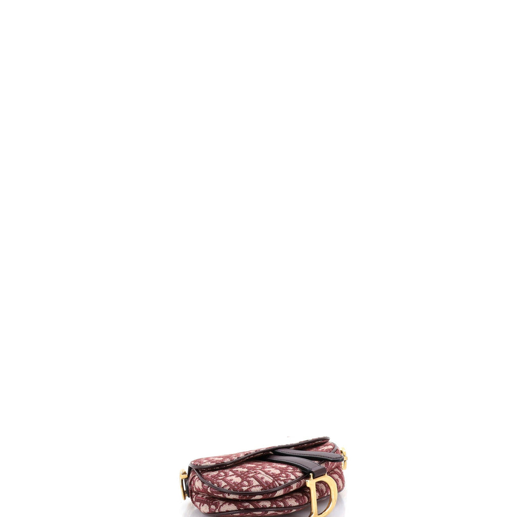 Saddle Handbag Oblique Canvas Mini