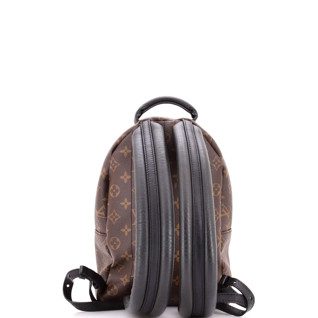 Palm Springs Backpack Monogram Canvas PM