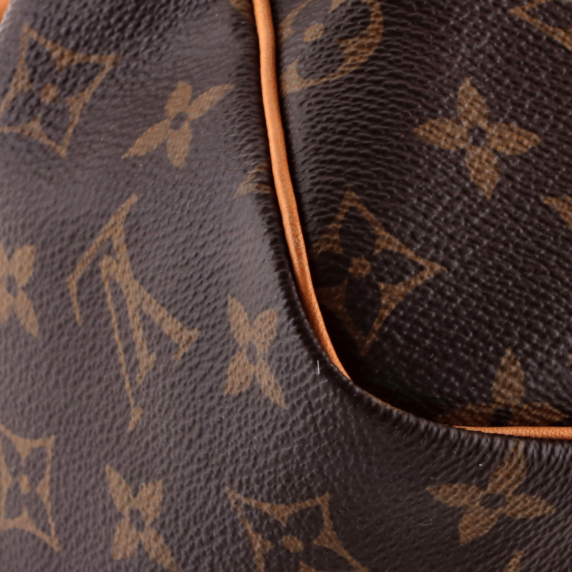 Speedy Bandouliere Bag Monogram Canvas 30