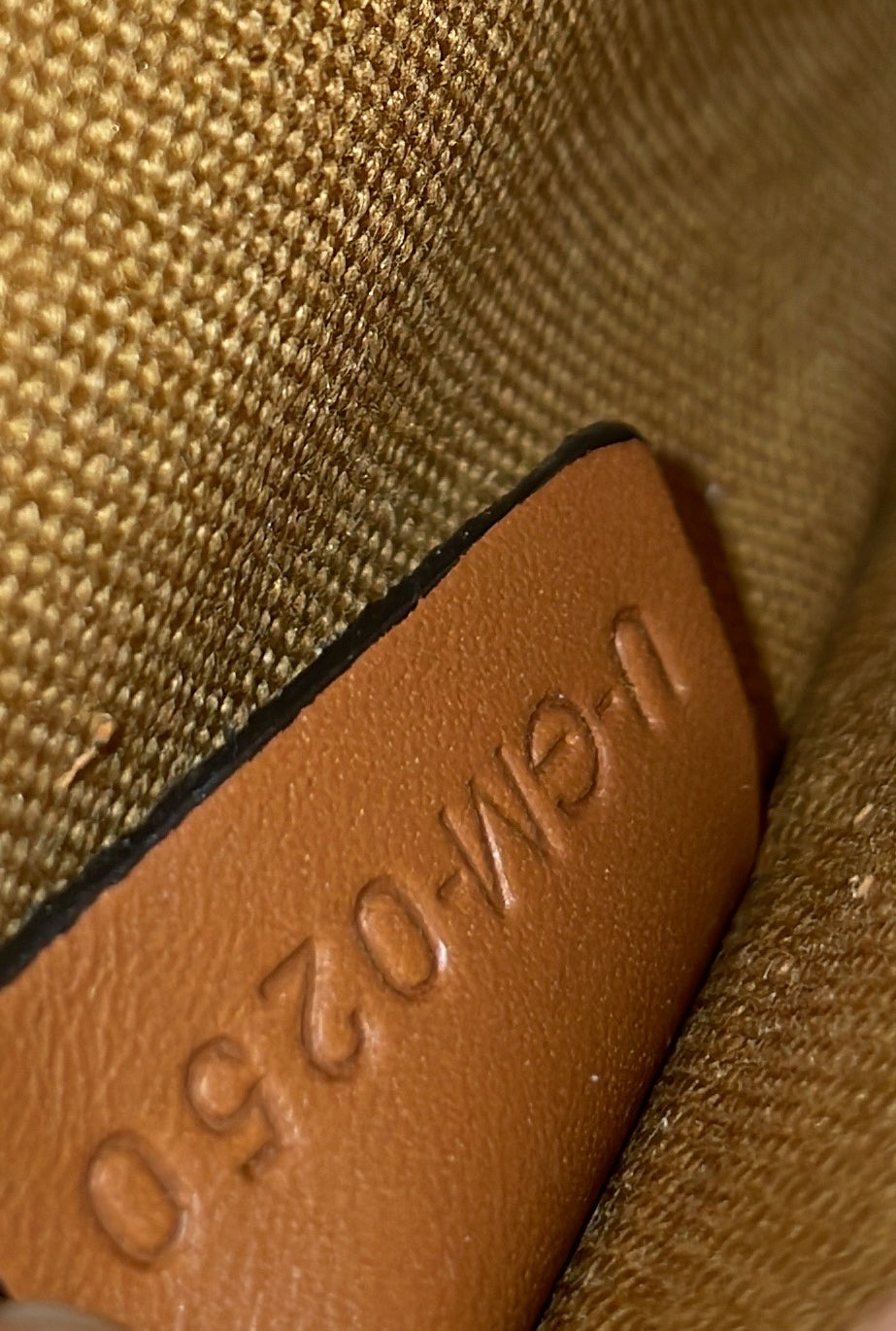 Folco Bag Triomphe Coated Canvas Medium