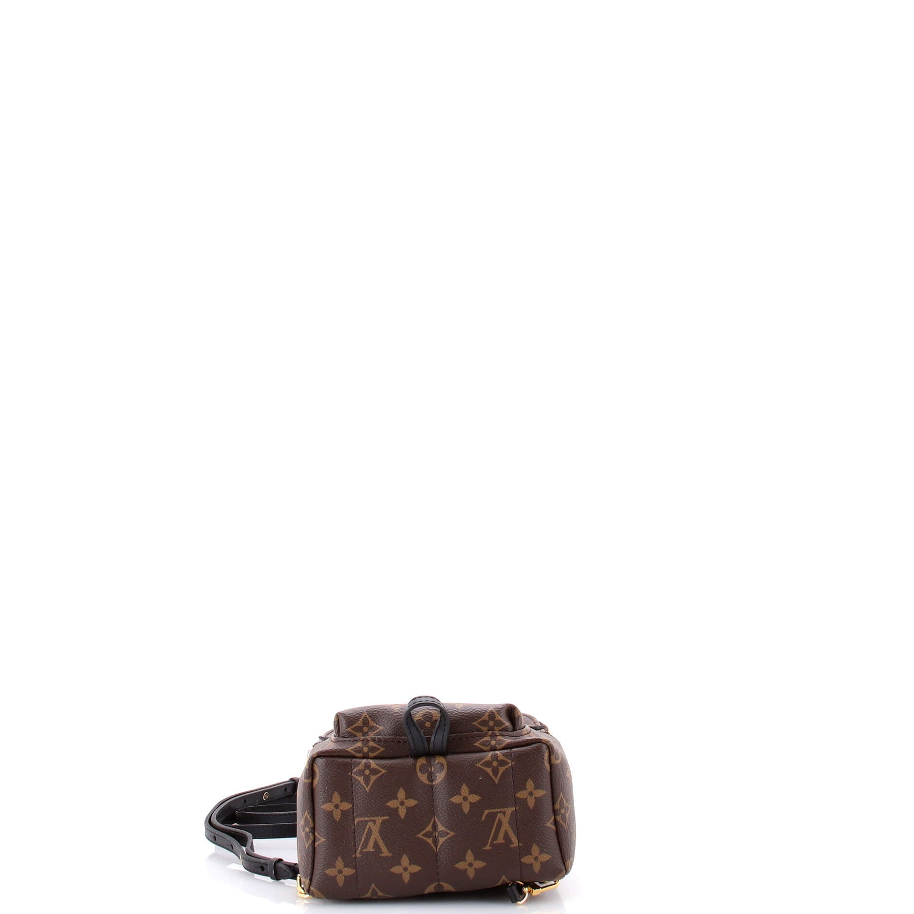 Palm Springs Backpack Monogram Canvas Mini