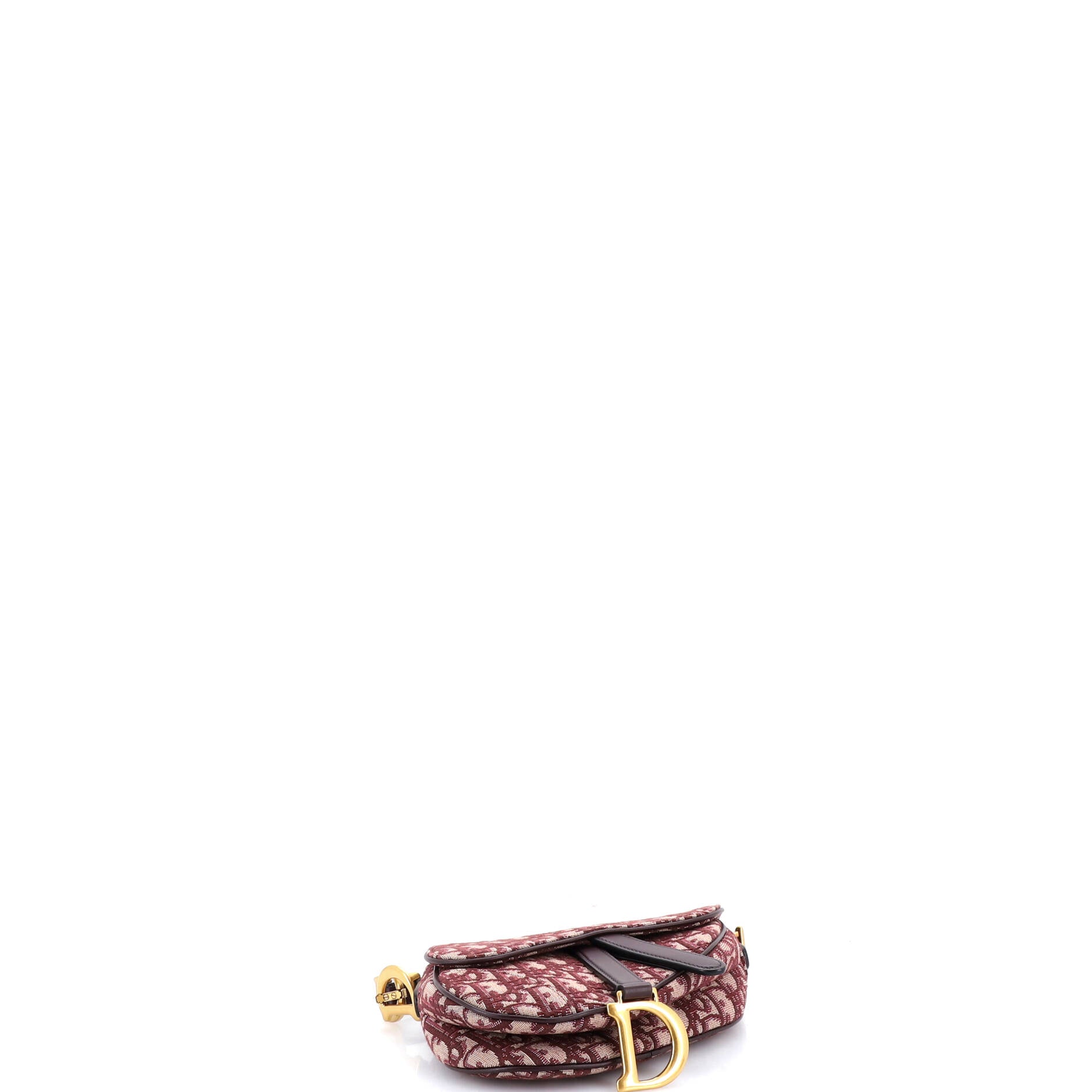 Saddle Handbag Oblique Canvas Mini