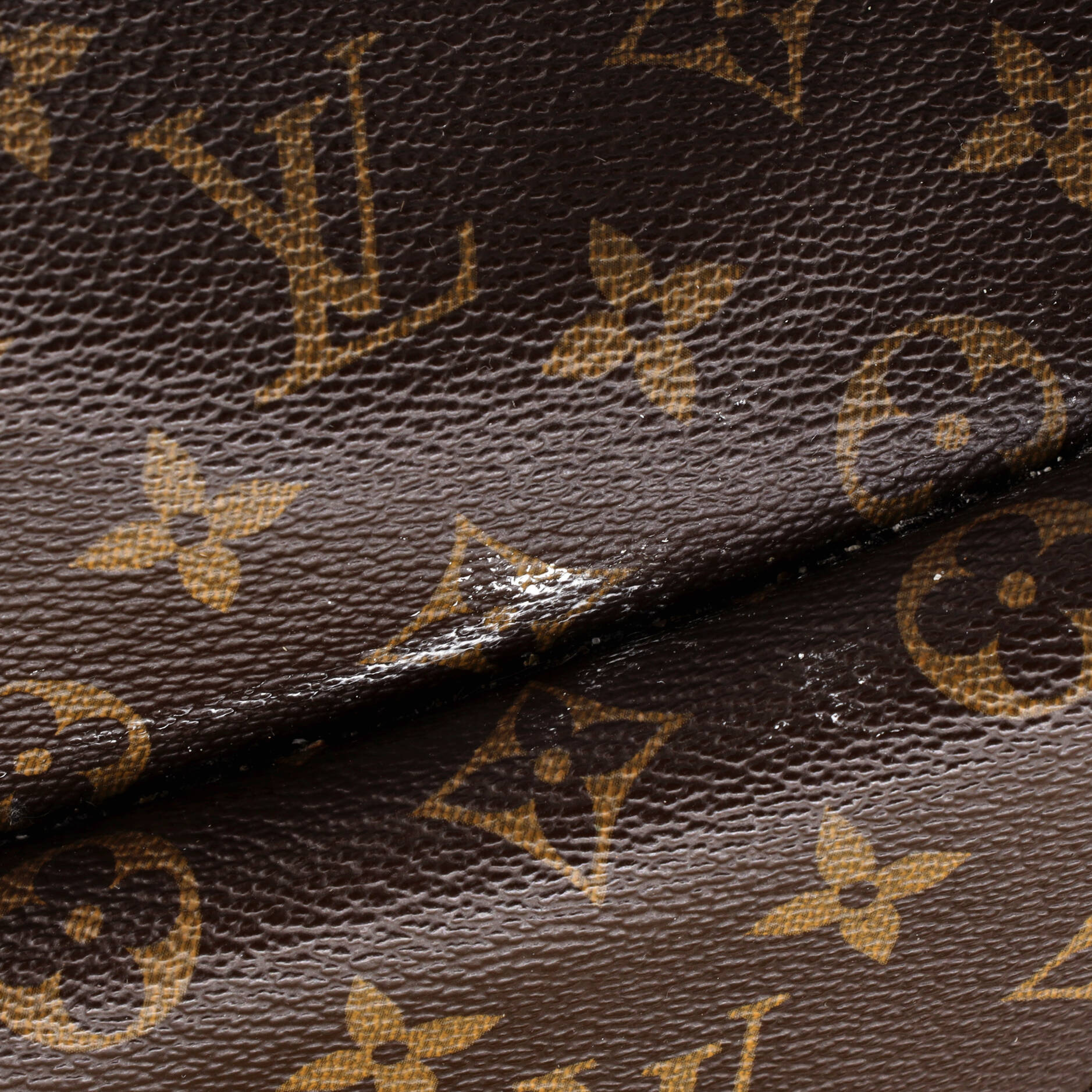 Metis Hobo Monogram Canvas