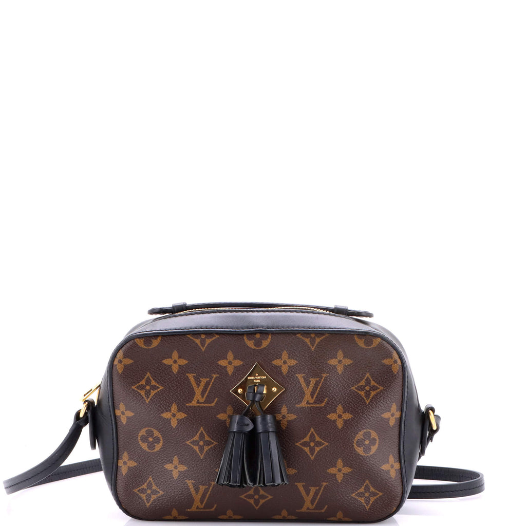 Saintonge Handbag Monogram Canvas with Leather