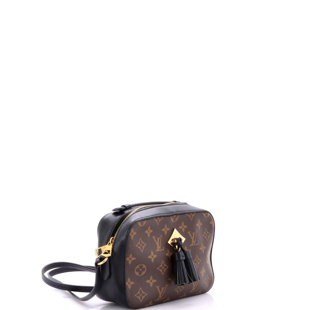 Saintonge Handbag Monogram Canvas with Leather