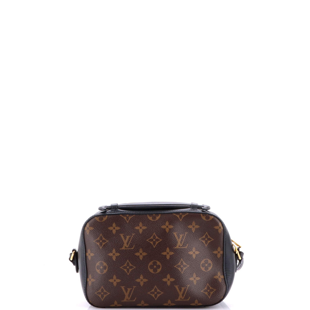Saintonge Handbag Monogram Canvas with Leather