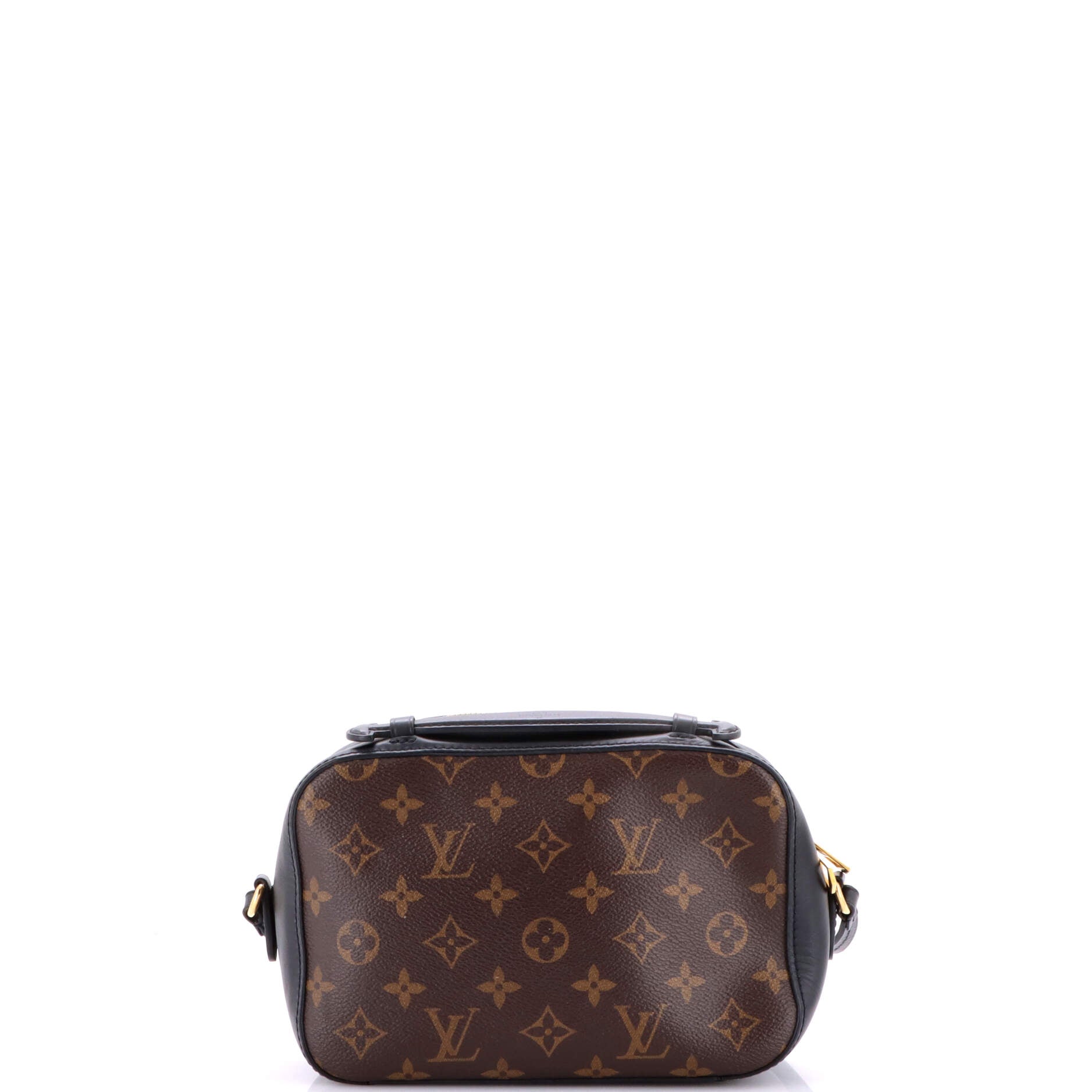 Saintonge Handbag Monogram Canvas with Leather