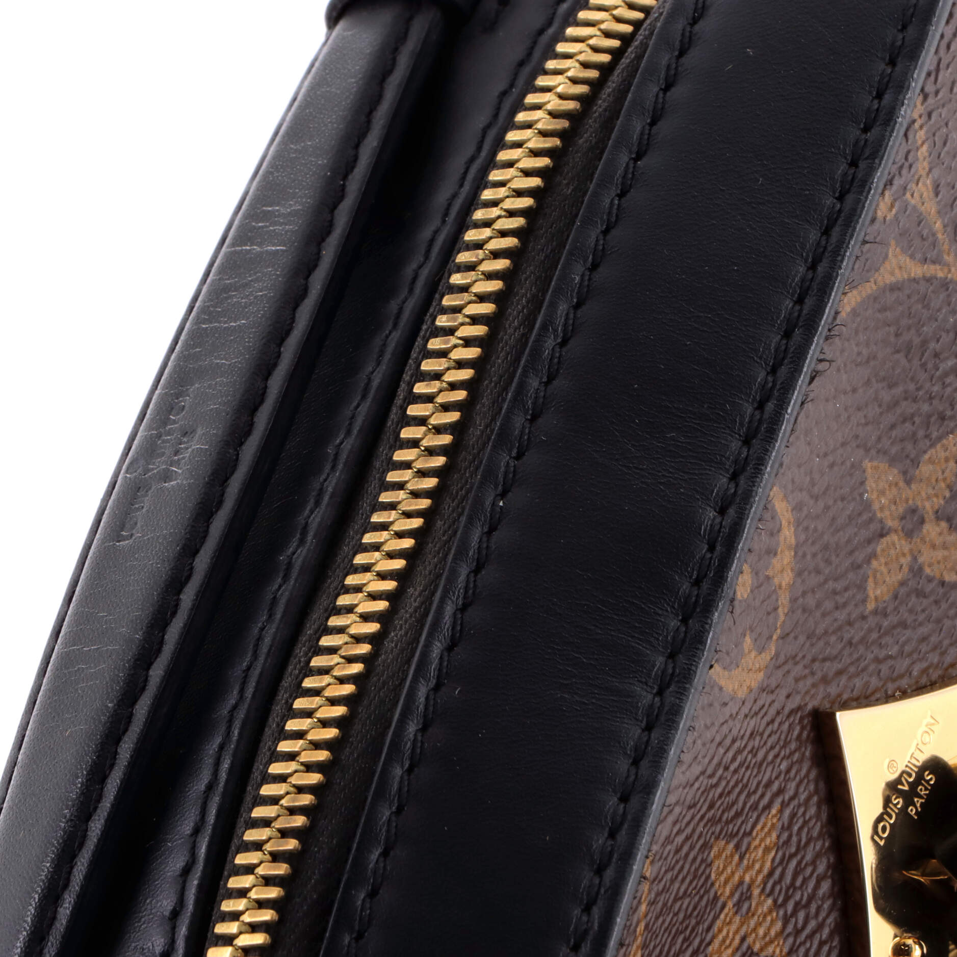 Saintonge Handbag Monogram Canvas with Leather