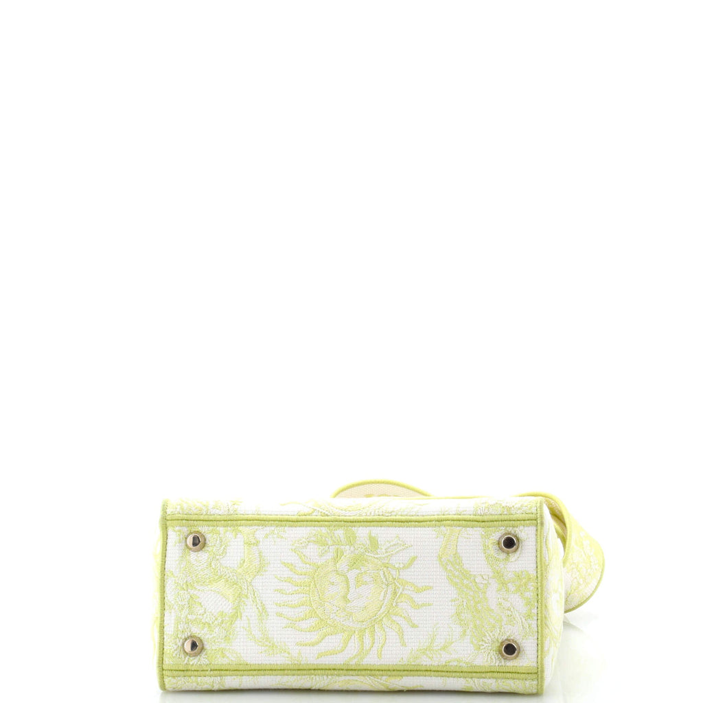 Lady D-Lite Bag Embroidered Canvas Medium