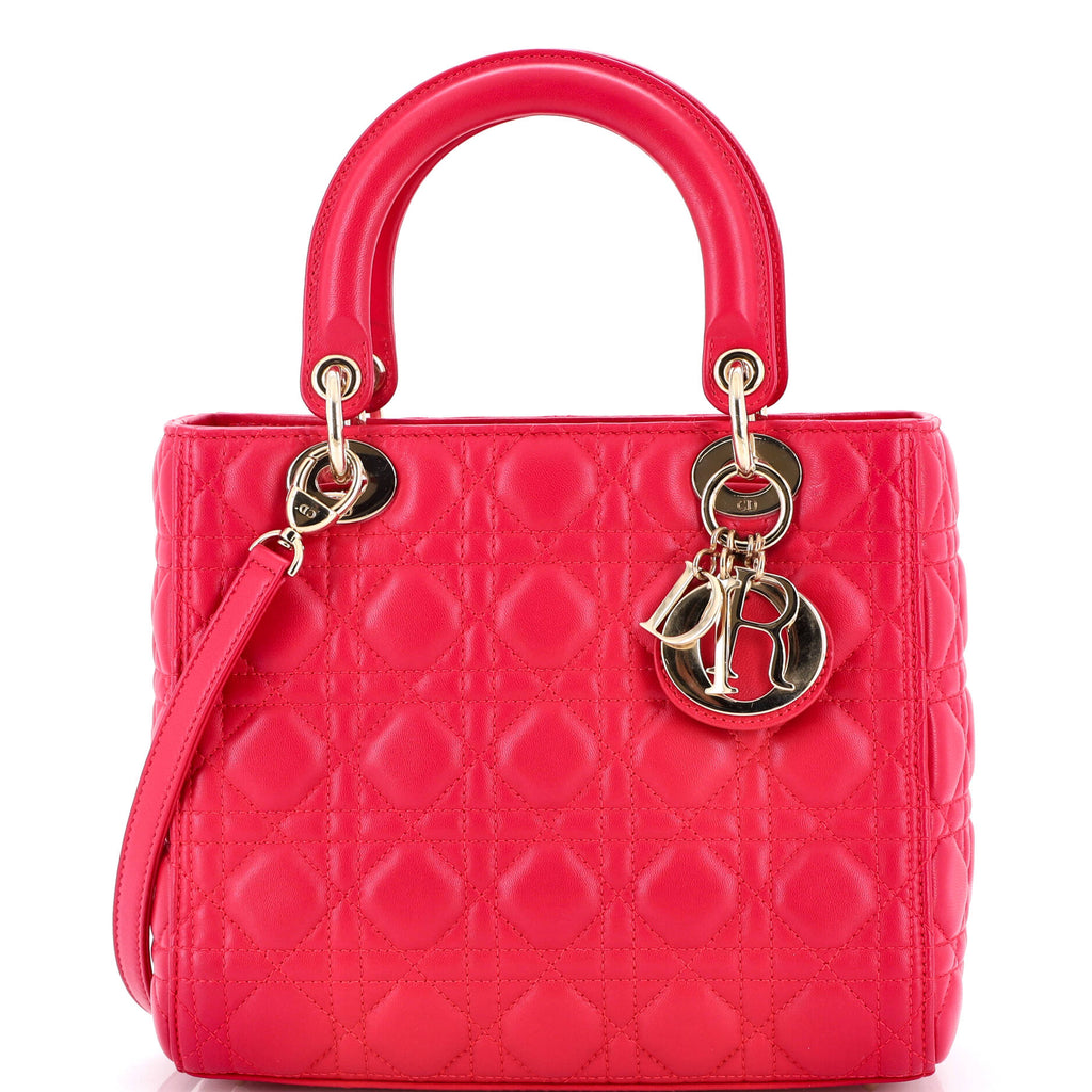 Lady D-Lite Bag Embroidered Canvas Medium