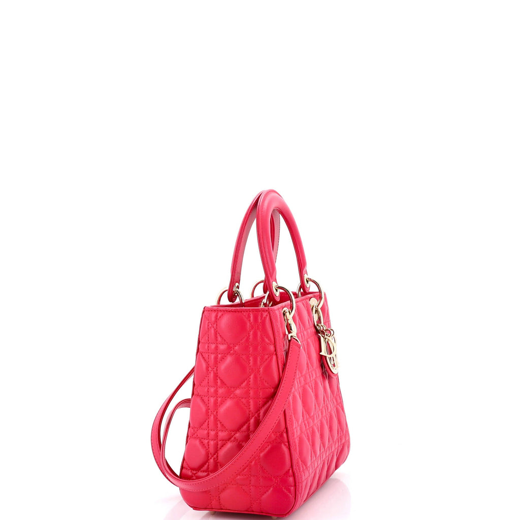 Lady D-Lite Bag Embroidered Canvas Medium