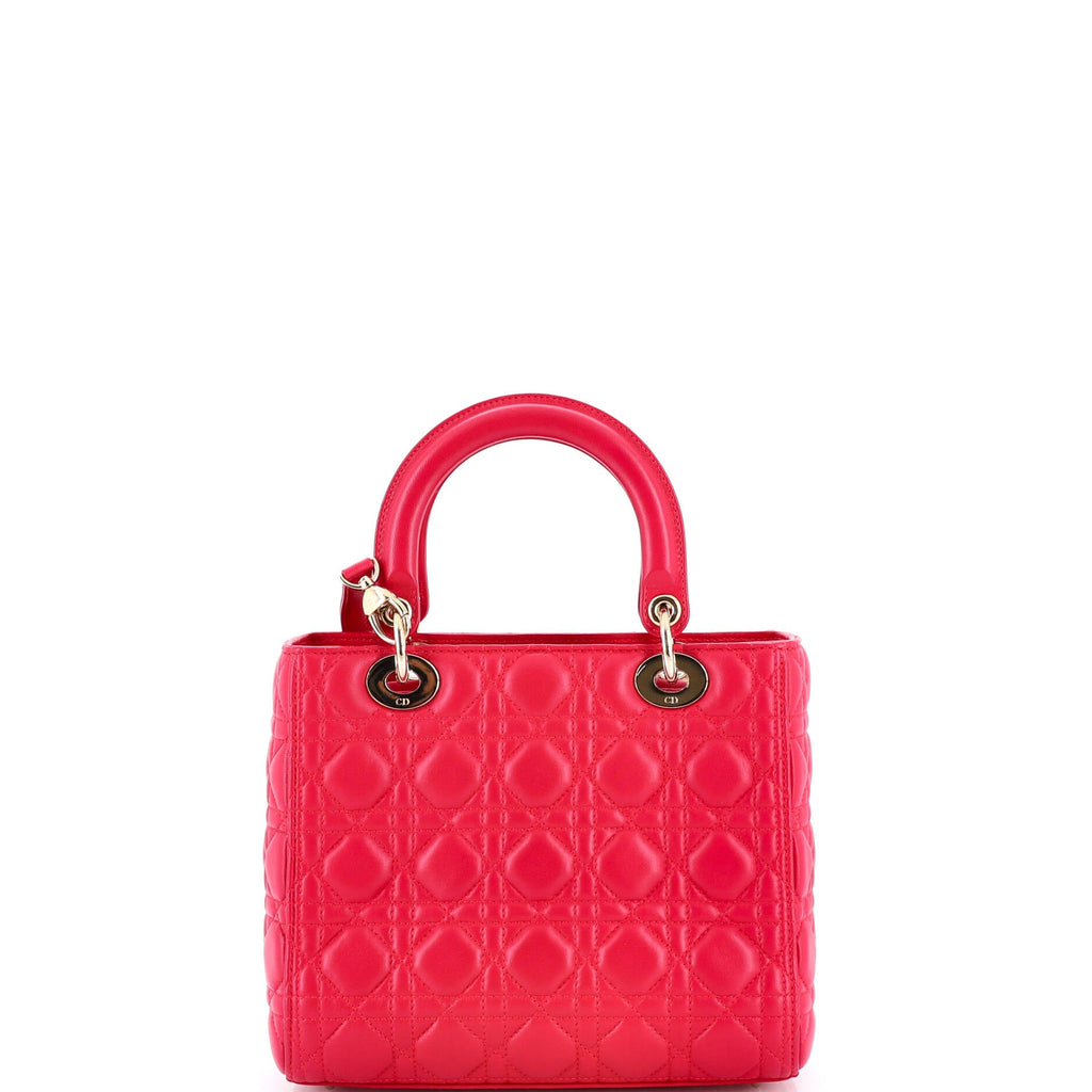 Lady D-Lite Bag Embroidered Canvas Medium