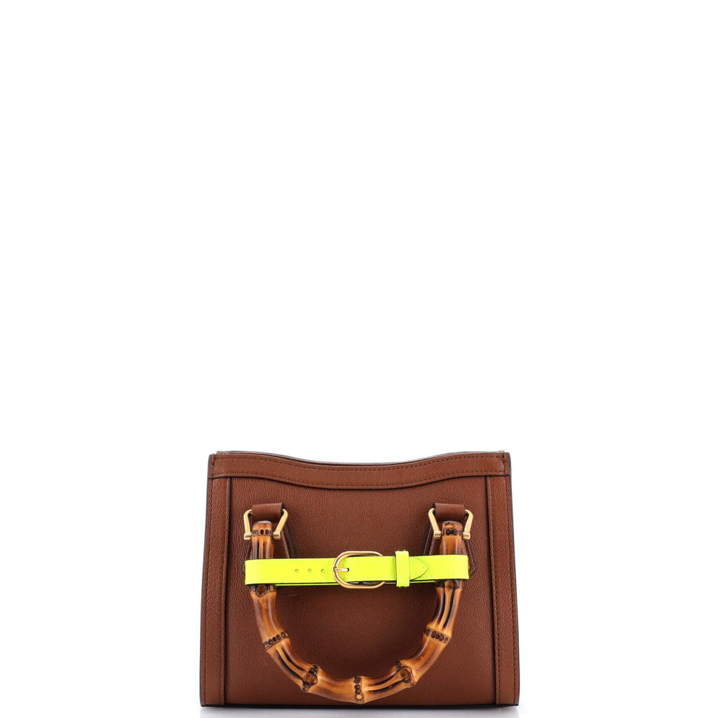 Diana NM Bamboo Handle Tote Leather Mini