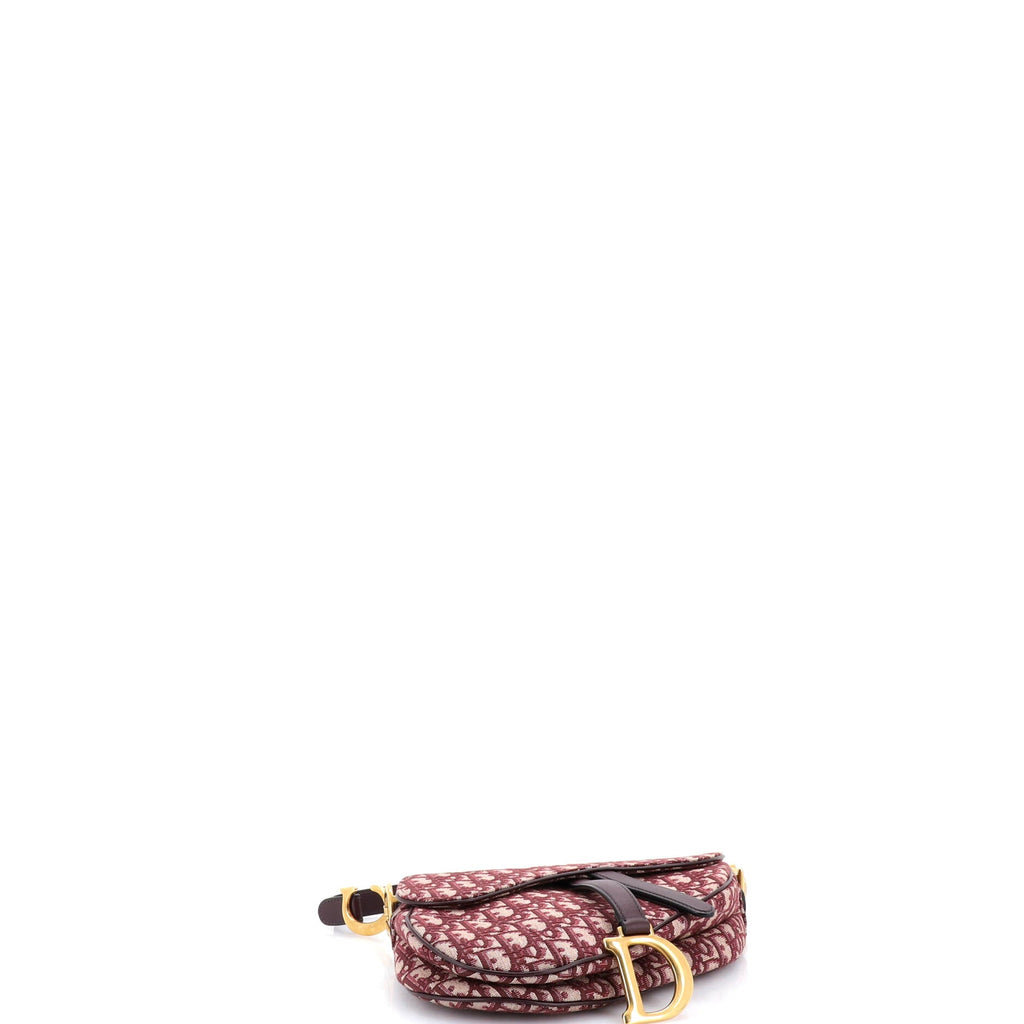 Saddle Handbag Oblique Canvas Medium